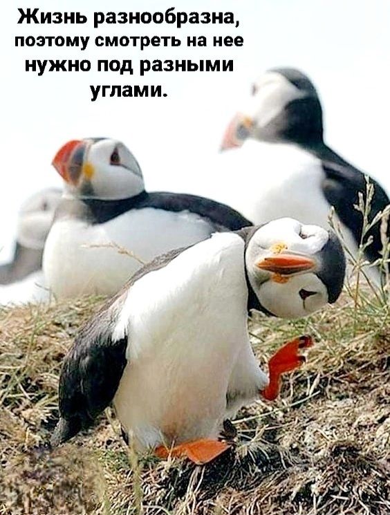 Жизнь разнообразна, поэтому смотреть на нее нужно под разными углами.