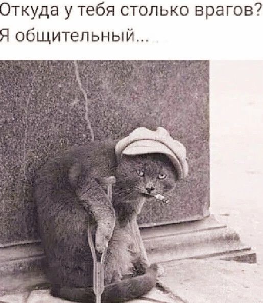 Откуда у тебя столько врагов? Я общительный...