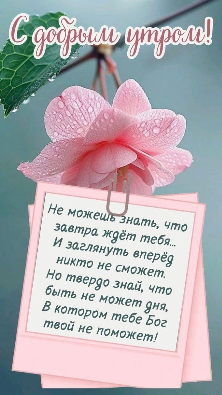 С добрым утром!

Не можешь знать, что завтра ждёт тебя...
И заглянуть вперёд никто не сможет.
Но твёрдо знай, что быть не может дня,
В котором тебе Бог твой не поможет!