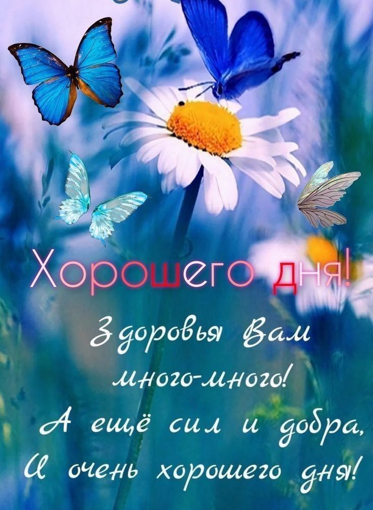 Хорошего дня!
Здоровья вам много-много!
А ещё сил и добра,
И очень хорошего дня!