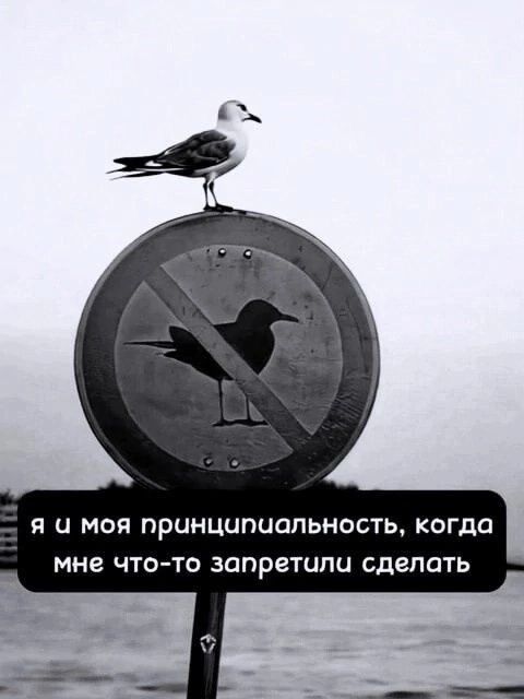 я и моя принципиальность, когда мне что-то запретили сделать