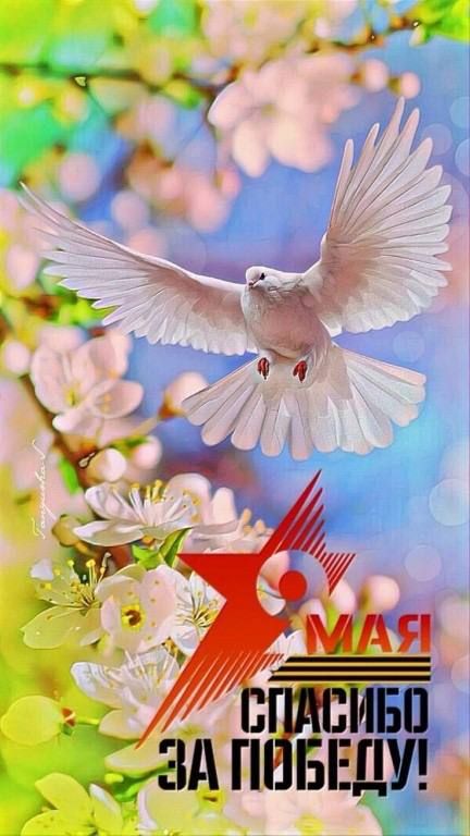 9 МАЯ СПАСИБО ЗА ПОБЕДУ!