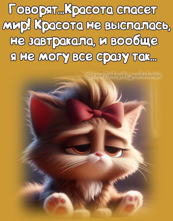 Говорят...Красота спасет мир! Красота не выспалась, не завтракала, и вообще я не могу все сразу так...