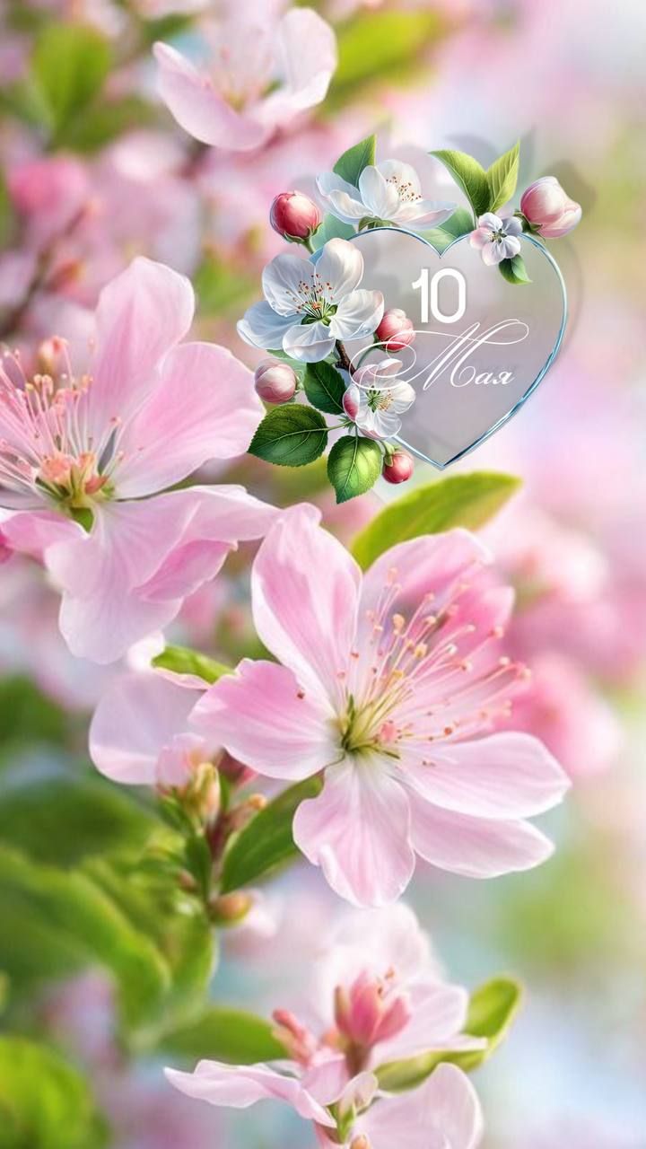 10 Мая