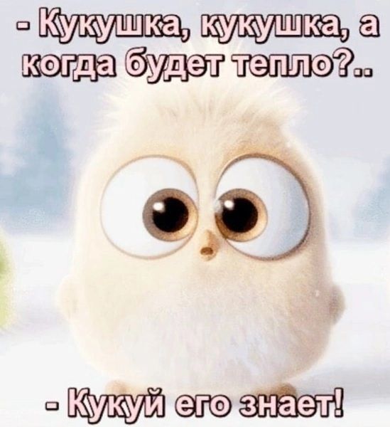 - Кукушка, кукушка, а когда будет тепло?..
- Кукый его знает!