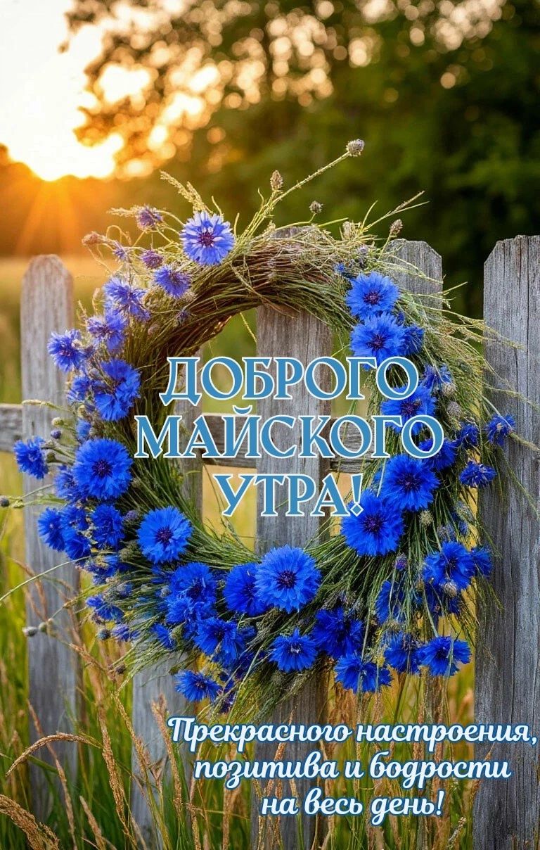 Доброго майского утра! Прекрасного настроения, позитива и бодрости на весь день!