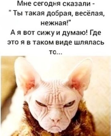 Мне сегодня сказали - 