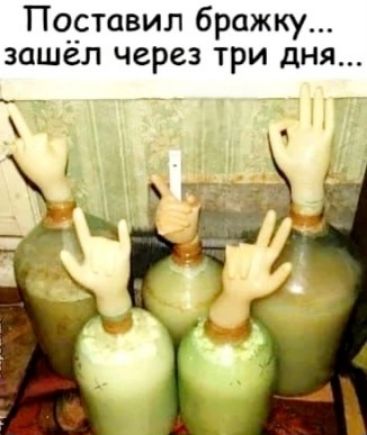 Поставил бражку... зашёл через три дня...
