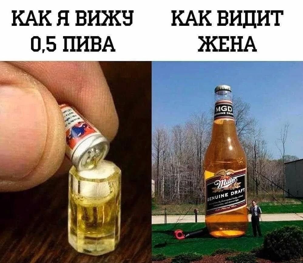 КАК Я ВИЖУ 0,5 ПИВА
КАК ВИДИТ ЖЕНА