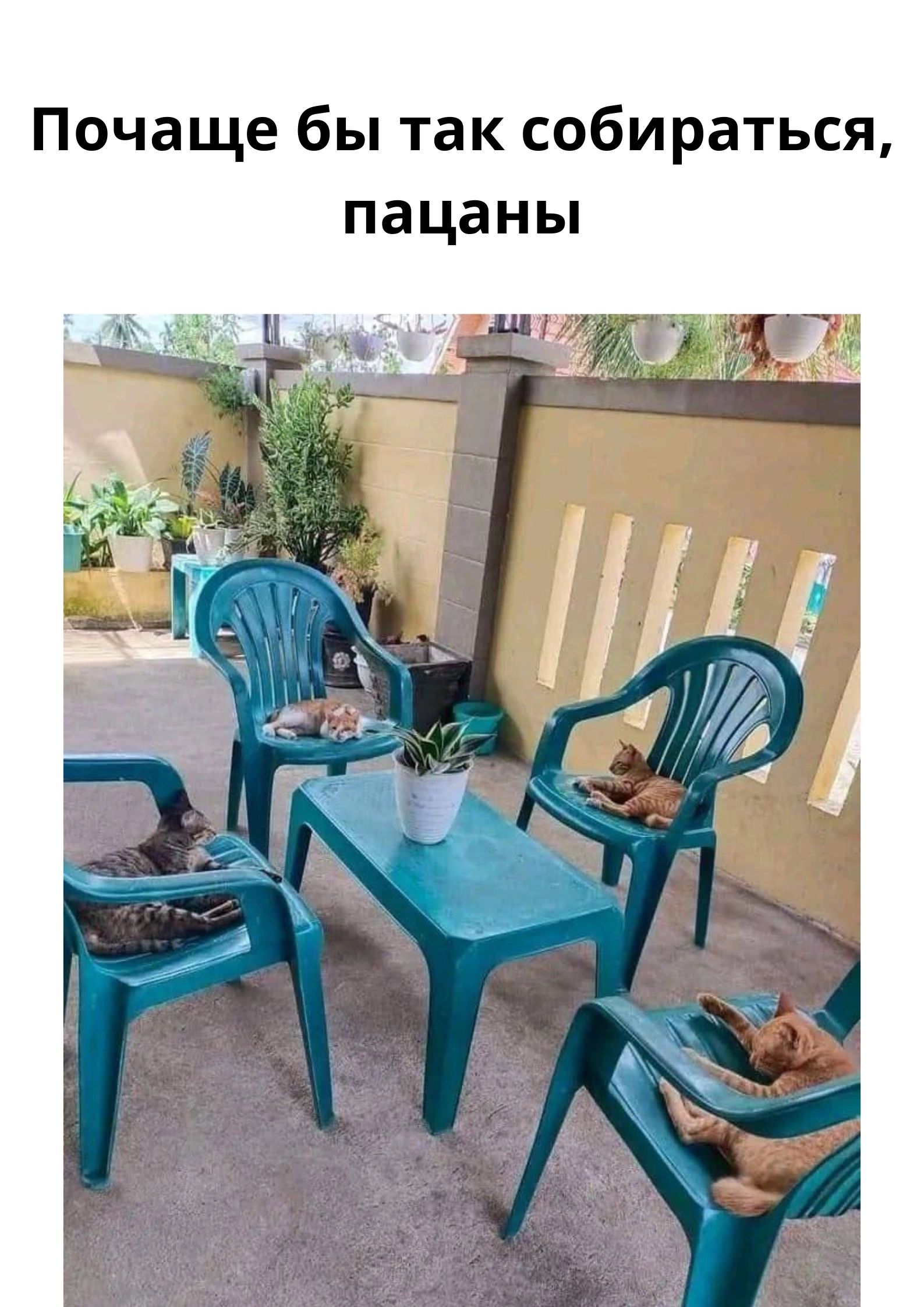 Почаще бы так собираться, пацаны