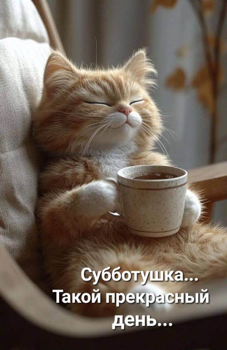 Субботушка... Такой прекрасный день...