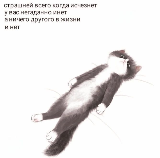 страшней всего когда исчезнет
у вас негаданно инет
а ничего другого в жизни
и нет