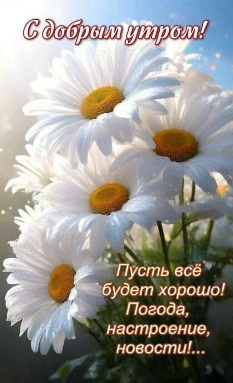 С добрым утром! Пусть всё будет хорошо! Погода, настроение, новости!...