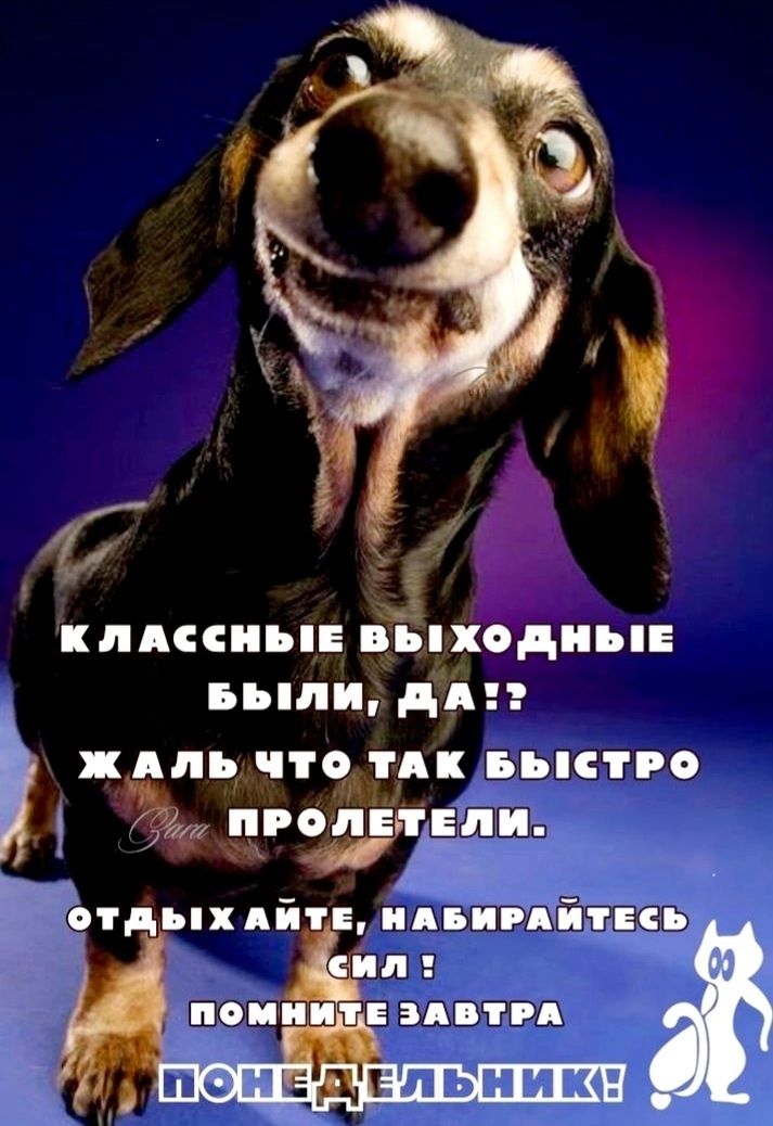 КЛАССНЫЕ ВЫХОДНЫЕ БЫЛИ, ДА!? ЖАЛЬ ЧТО ТАК БЫСТРО ПРОЛЕТЕЛИ. ОТДЫХАЙТЕ, НАБИРАЙТЕСЬ СИЛ! ПОМНИТЕ ЗАВТРА ПОНЕДЕЛЬНИК!