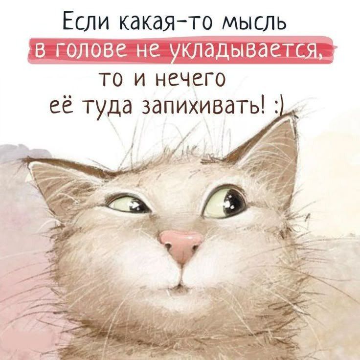 Если какая-то мысль в голове не укладывается, то и нечего её туда запихивать! :)