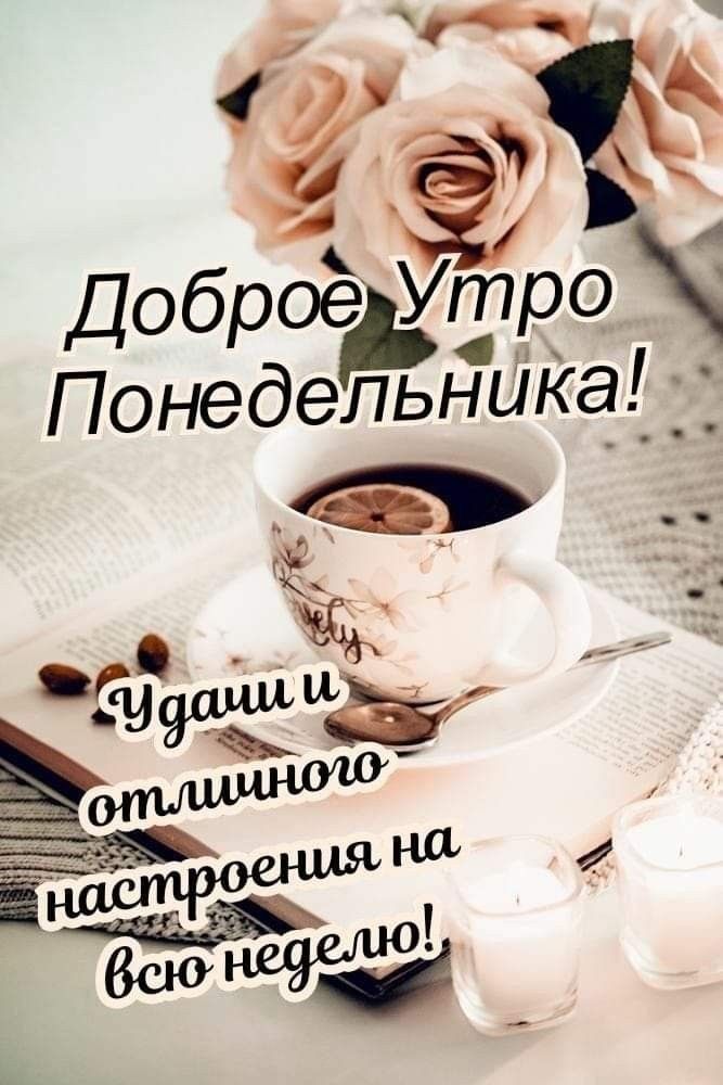 Доброе Утро Понедельника! Удачи и отличного настроения на всю неделю!