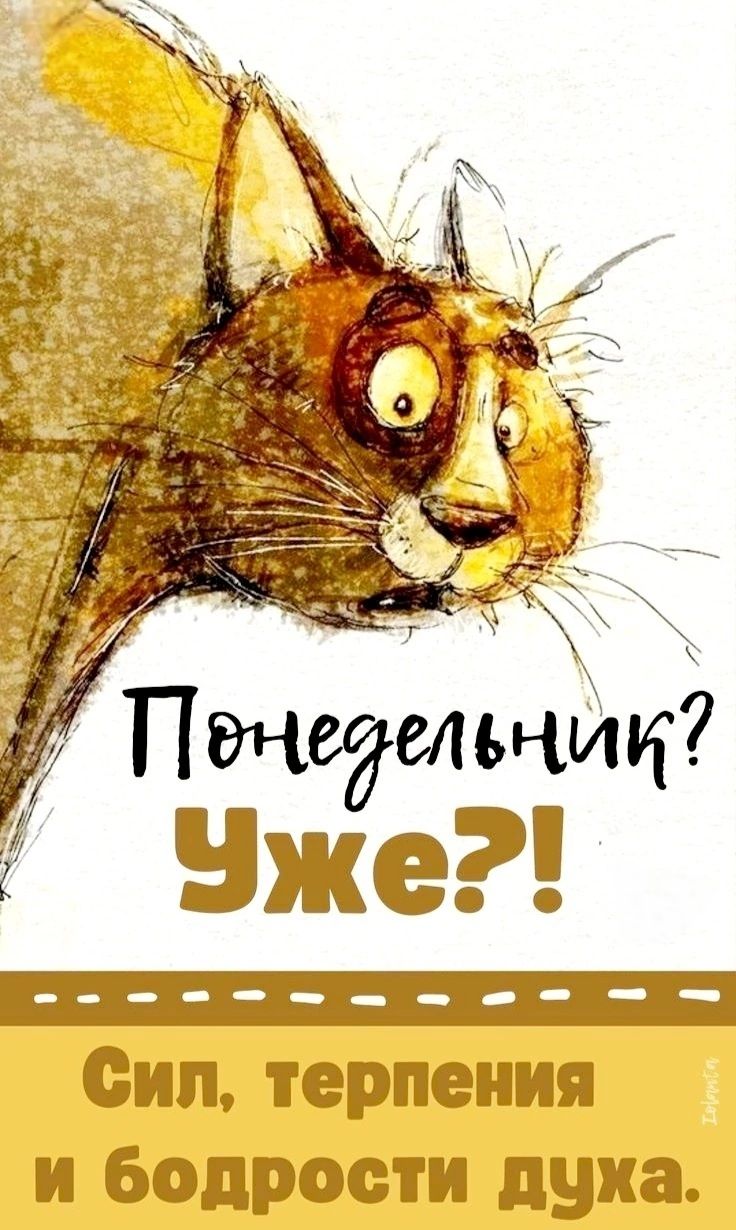 Понедельник? Уже?! Сил, терпения и бодрости духа.