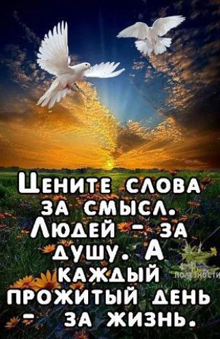 Цените слова за смысл. Людей – за душу. А каждый прожитый день – за жизнь.