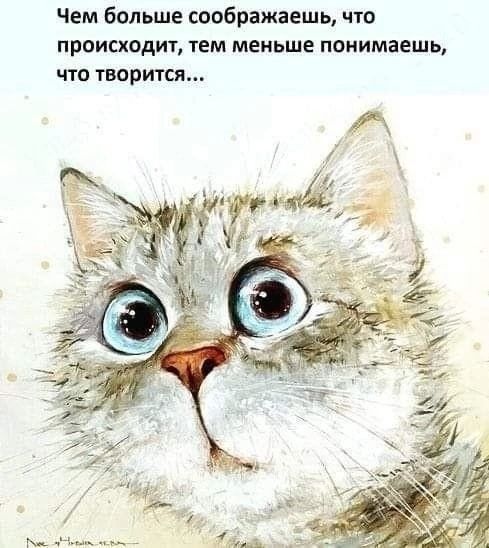 Чем больше соображаешь, что происходит, тем меньше понимаешь, что творится...