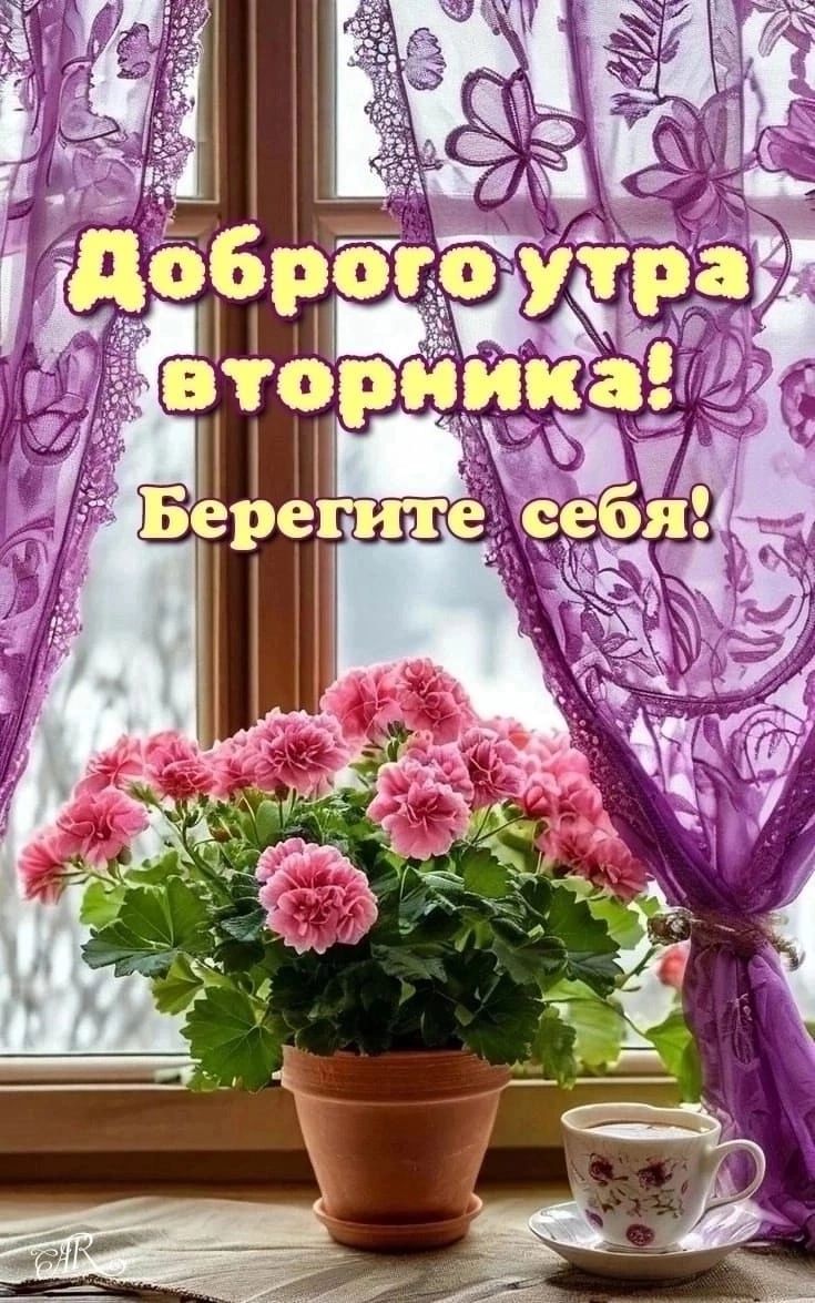 Доброе утро вторника! Берегите себя!