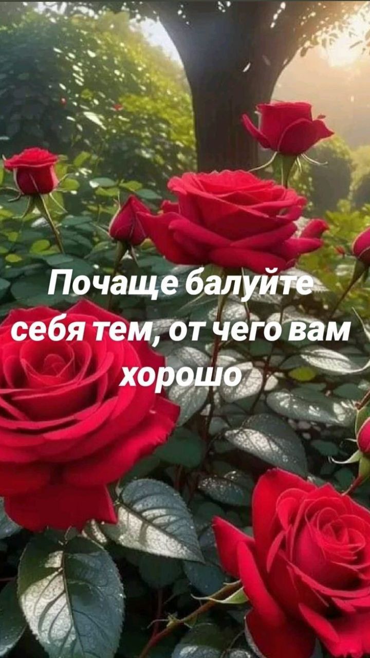 Почаще балуйте себя тем, от чего вам хорошо