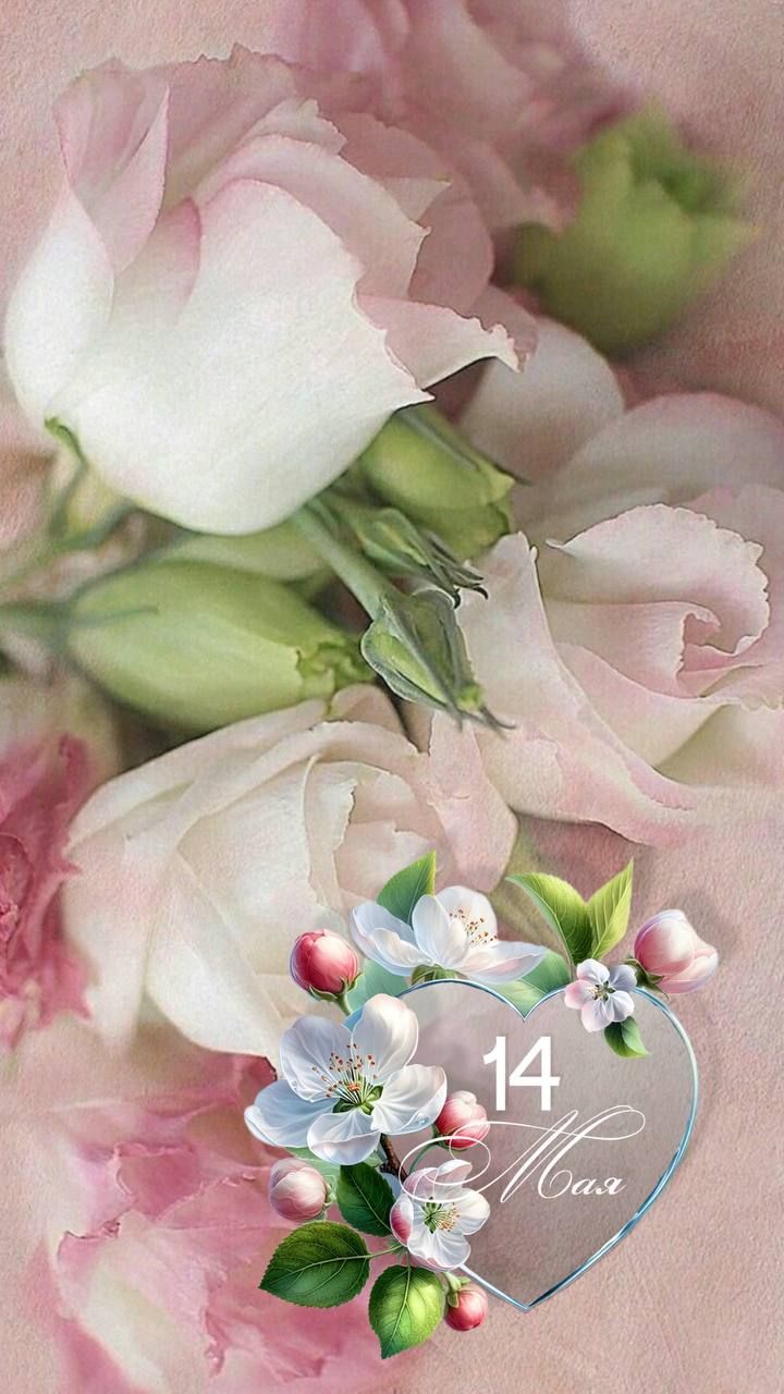 14 Мая