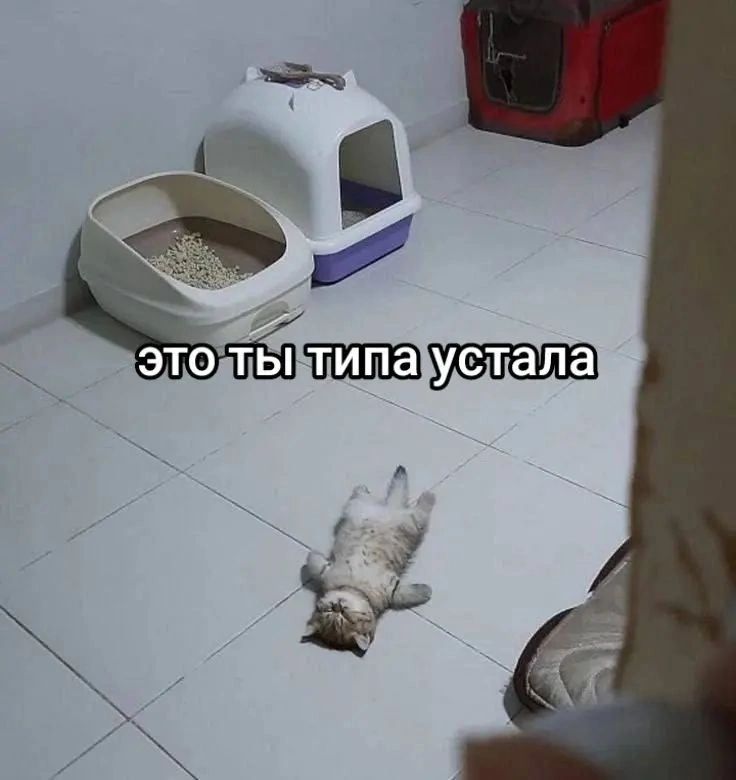 это ты типа устала