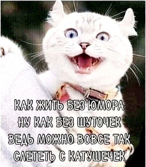 Как жить без юмора
Ну как без шуточек
Ведь можно вовсе так
Слететь с катушечек