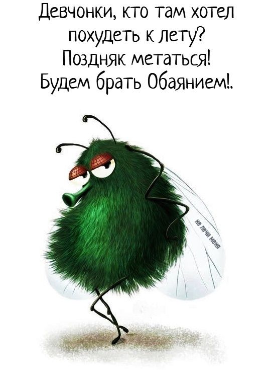 Девчонки, кто там хотел похудеть к лету? Поздняк метаться! Будем брать Обаянием!.