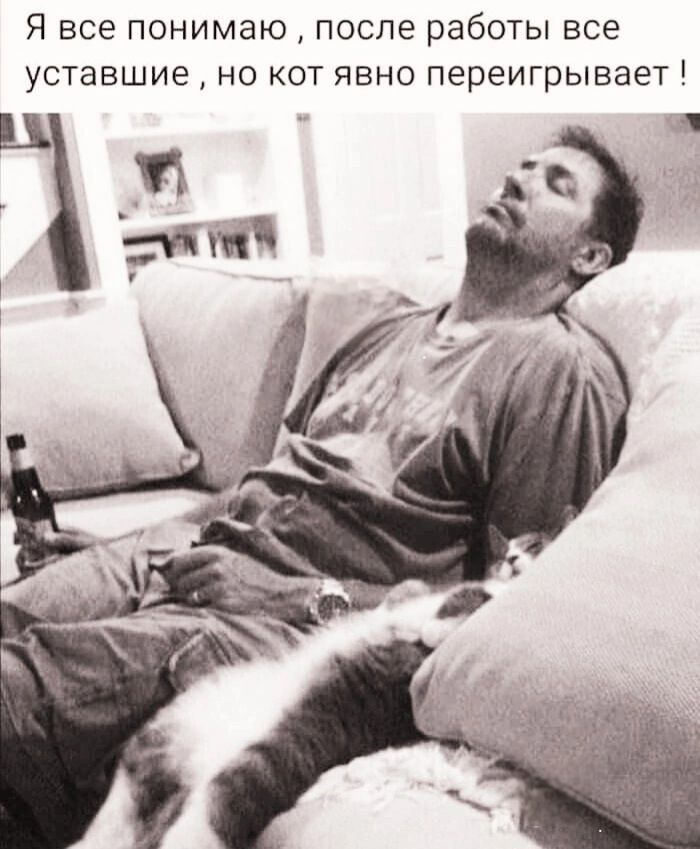 Я все понимаю, после работы все уставшие, но кот явно переигрывает!