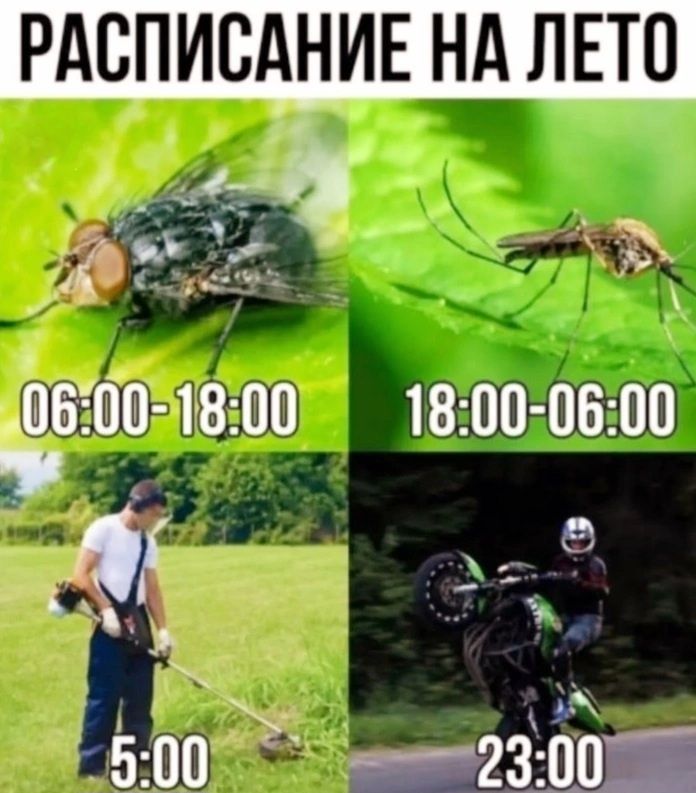 РАСПИСАНИЕ НА ЛЕТО
06:00-18:00
18:00-06:00
5:00
23:00