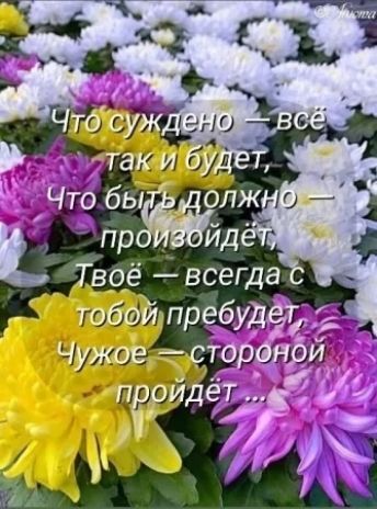 Что суждено — всё так и будет,
Что быть должно — произойдёт,
Твоё — всегда с тобой пребудет,
Чужое — стороной пройдёт ...