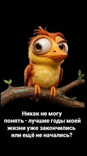 Никак не могу понять - лучшие годы моей жизни уже закончились или ещё не начались?