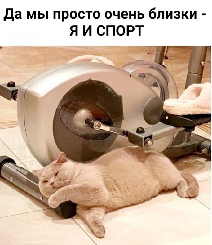 Да мы просто очень близки - Я И СПОРТ