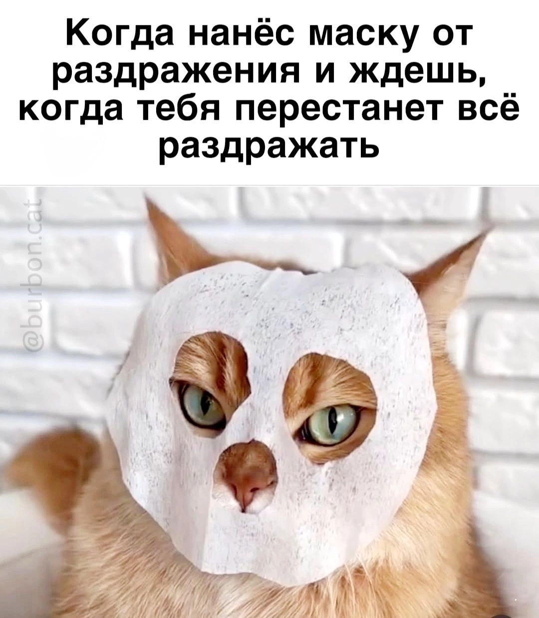 Когда нанесёшь маску от раздражения и ждёшь, когда тебя перестанет всё раздражать