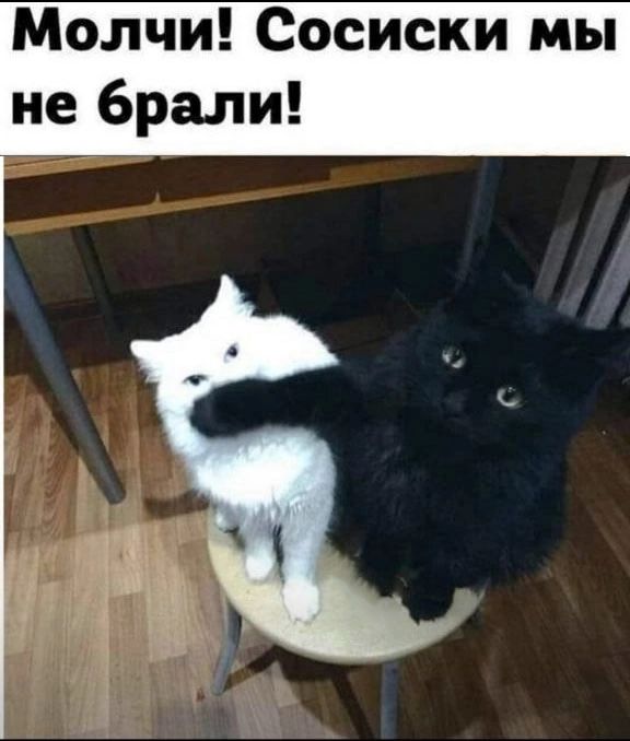 Молчи! Сосиски мы не брали!