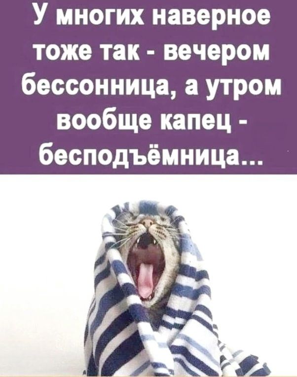 У многих наверное тоже так - вечером бессонница, а утром вообще капец - бесподъёмница...