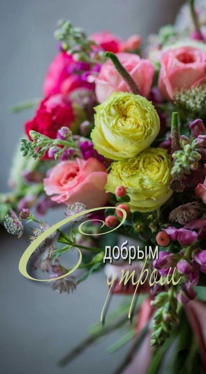 С добрым утром