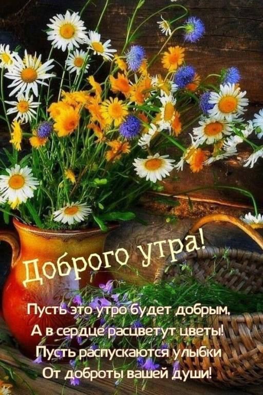 Доброе утро!
Пусть это утро будет добрым,
А в сердце распцветут цветы!
Пусть распускаются улыбки
От доброты вашей души!