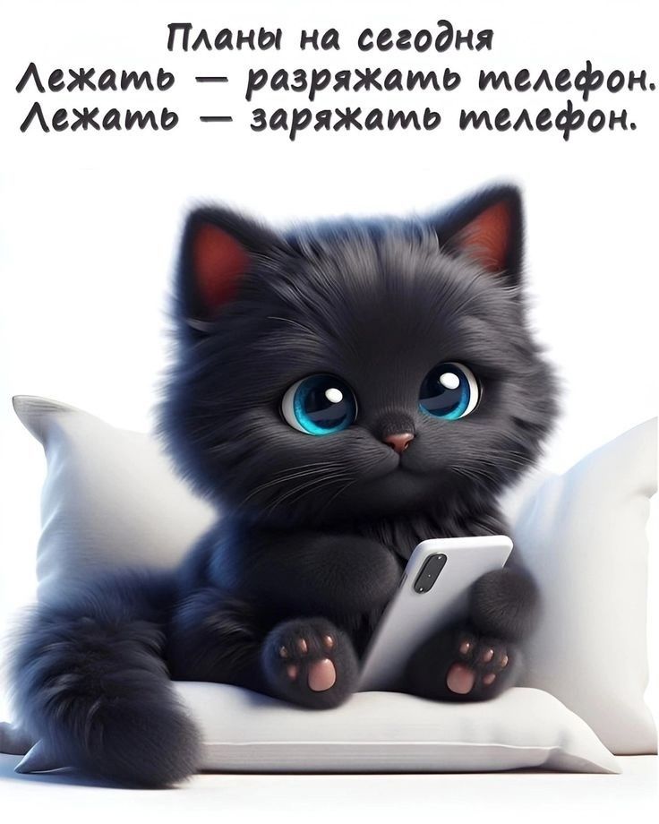 Планы на сегодня
Лежать — разряжать телефон.
Лежать — заряжать телефон.
