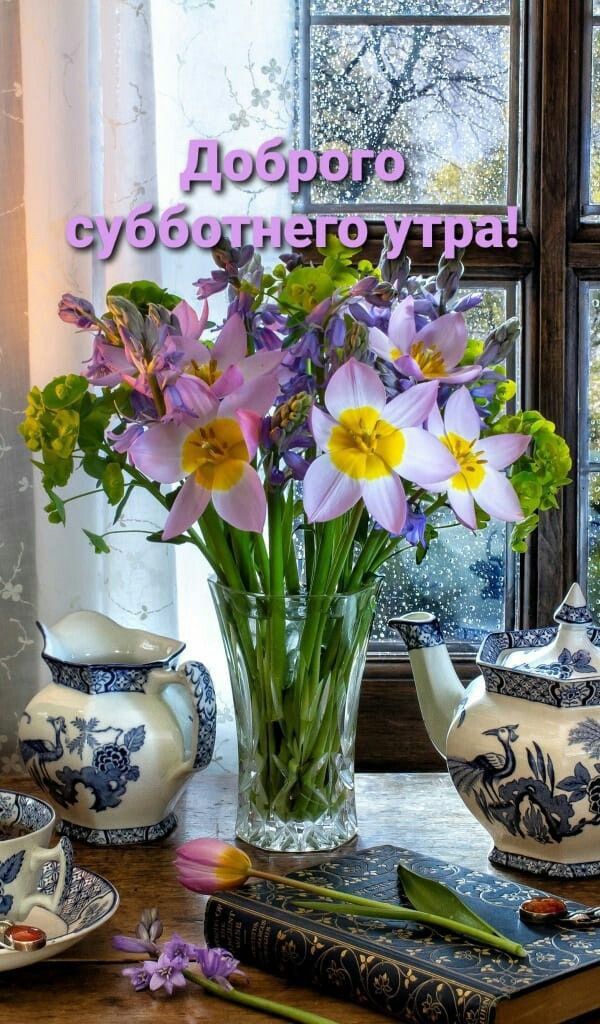 Доброе субботнего утра!