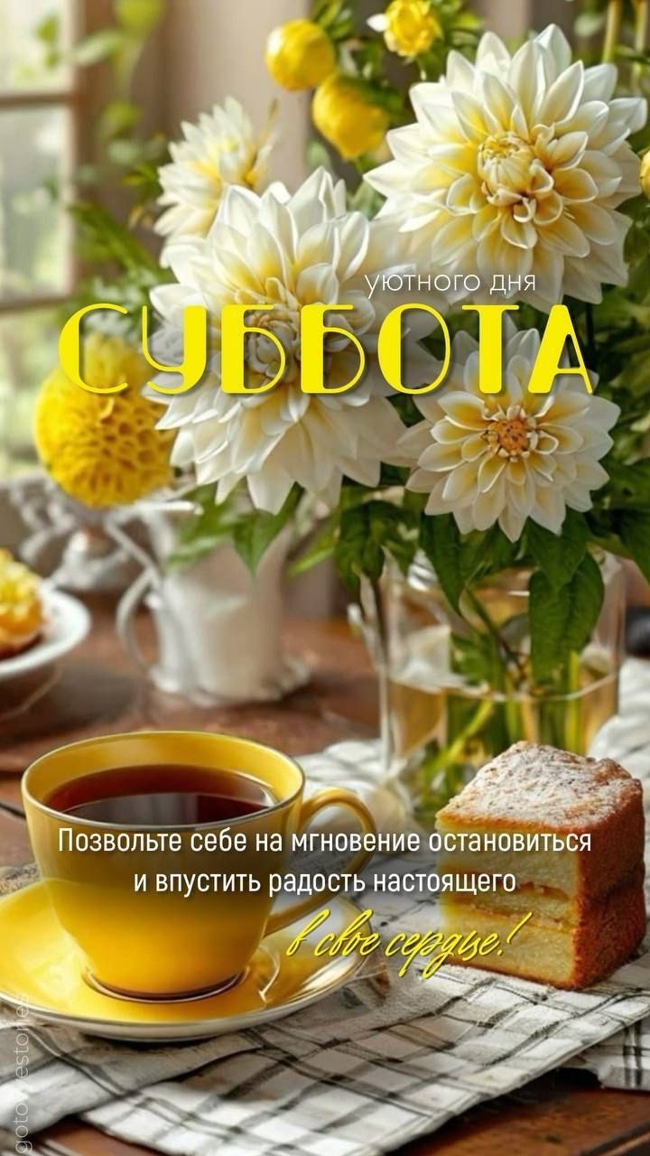 Утённого дня СУББОТА
Позвольте себе на мгновение остановиться и впустить радость настоящего в своё сердце!
