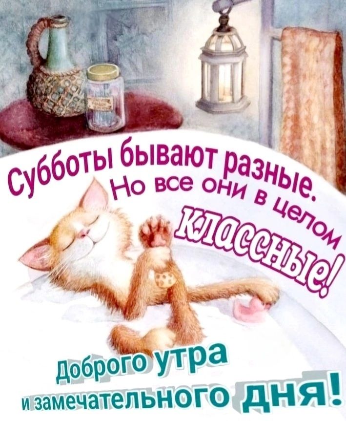 Субботы бывают разные. Но все они в целом классные! Доброего утра и замечательного дня!