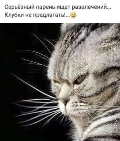 Серьёзный парень ищет развлечений... Клубки не предлагать!...