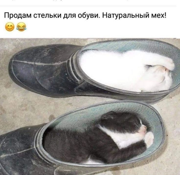 Продам стельки для обуви. Натуральный мех! 🙂😂