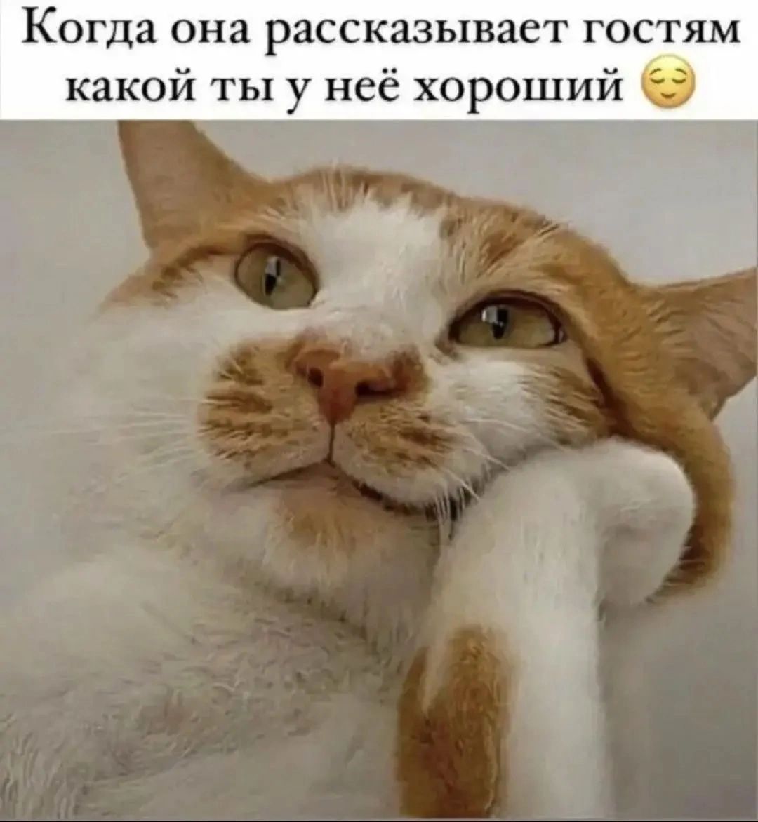 Когда она рассказывает гостям какой ты у неё хороший.