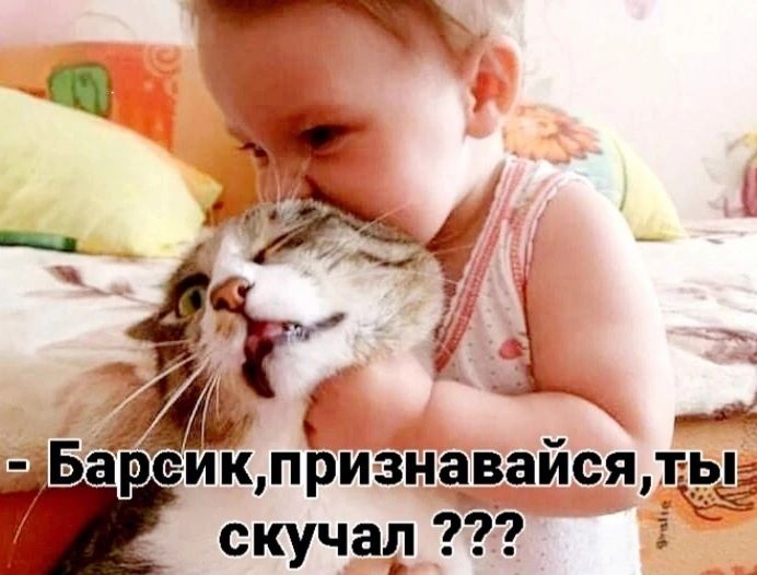 - Барсик,признавайся,ты скучал ???