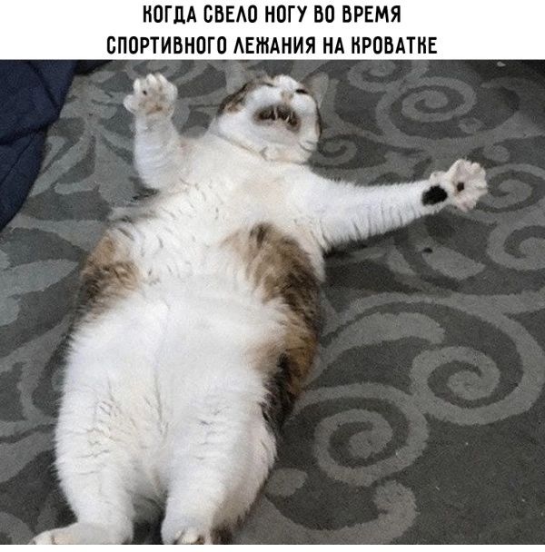 когда свело ногу во время спортивного лежания на кроватке