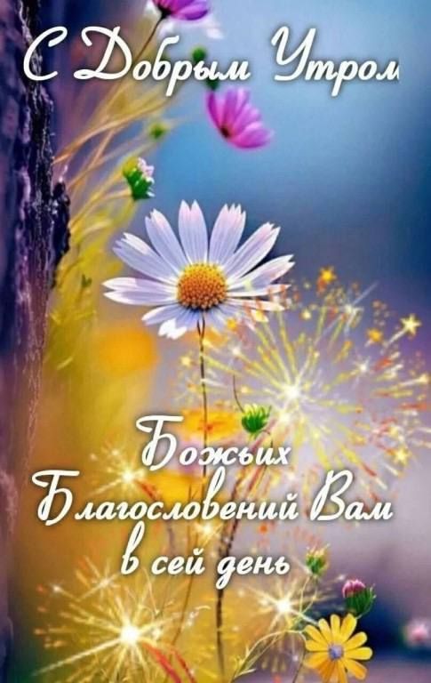 С Добрым Утром
Божьих Благословений Вам в сей день