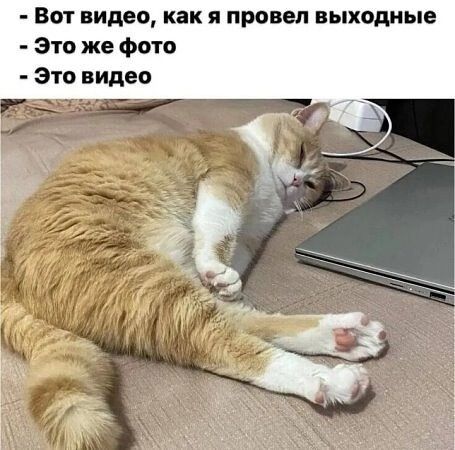 Вот видео, как я провел выходные
- Это же фото
- Это видео